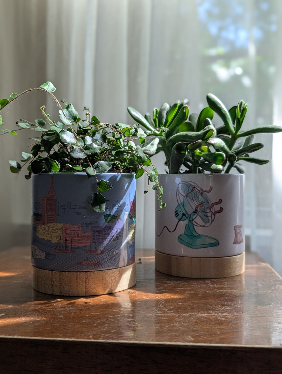 two ceramic planter pots