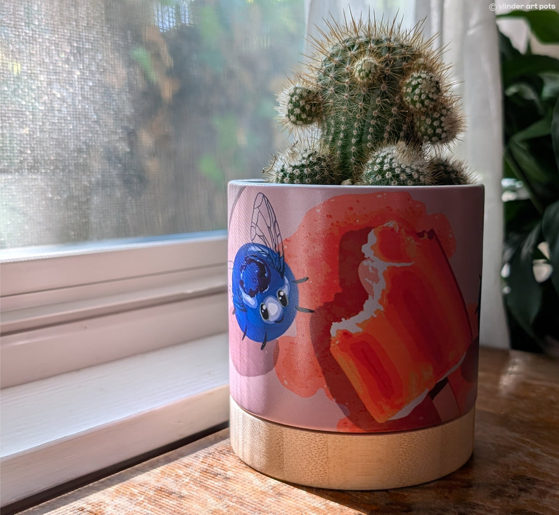 Beauty and wellbeing: Why our surroundings matter