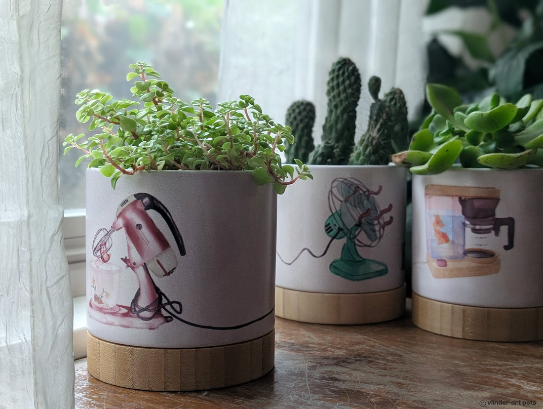 Creativity in bloom: Art and nature meet in every planter pot