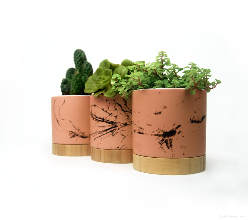 Rooted Reveries trio of ceramic planter pots