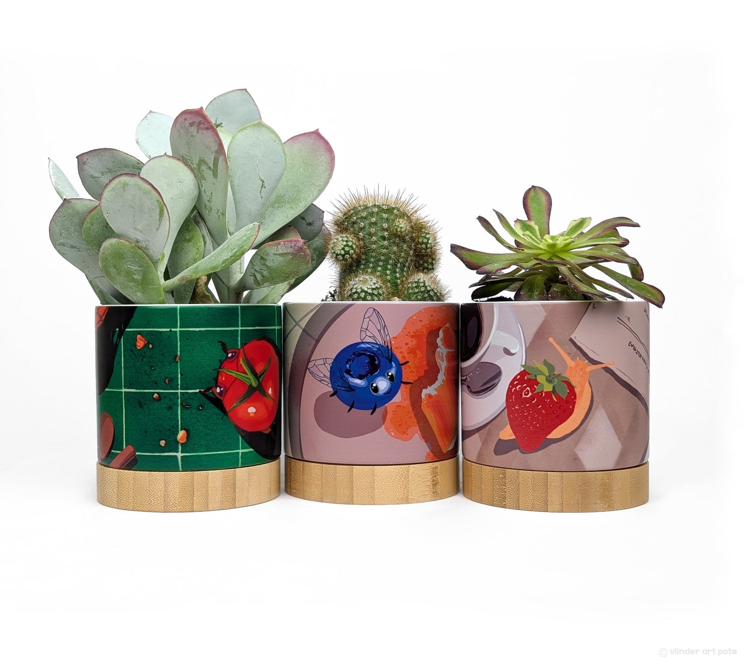 Feeling Buggy trio of ceramic planter pots