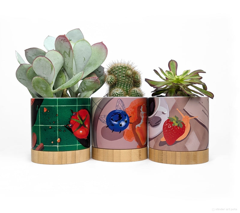 Feeling Buggy trio of ceramic planter pots
