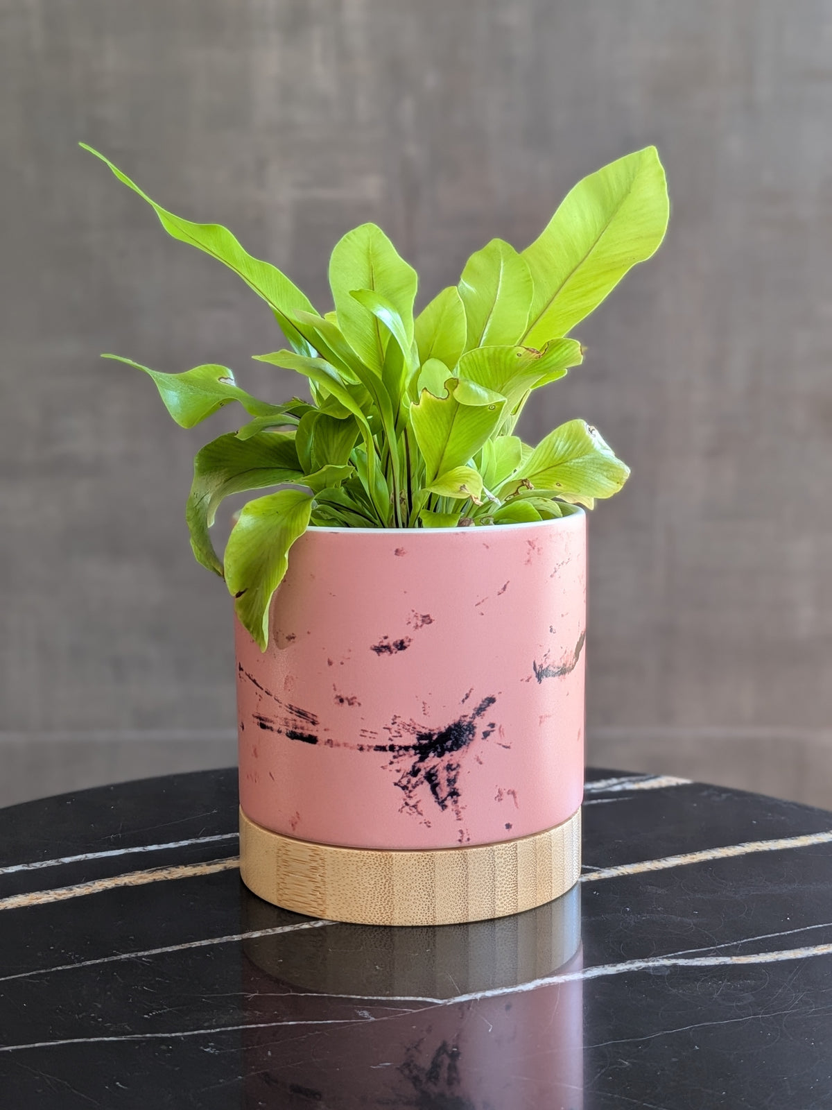Dragonflies Shimmer - ceramic planter pot