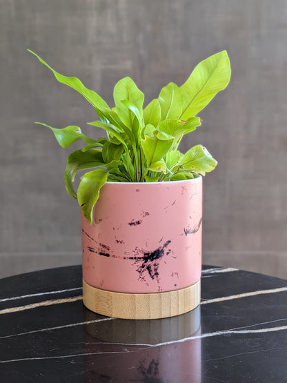 Dragonflies Shimmer - ceramic planter pot