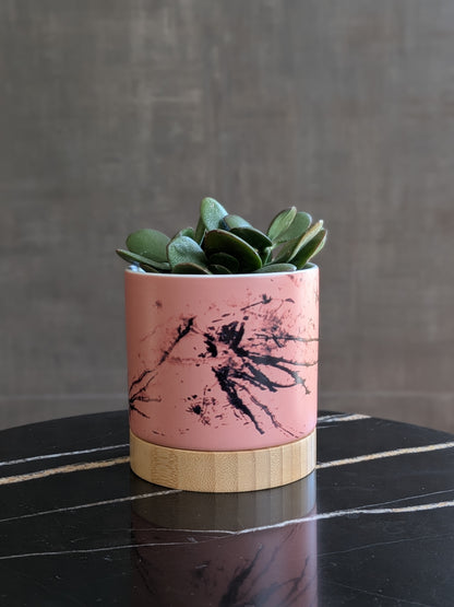Dandelions Emerge - ceramic planter pot