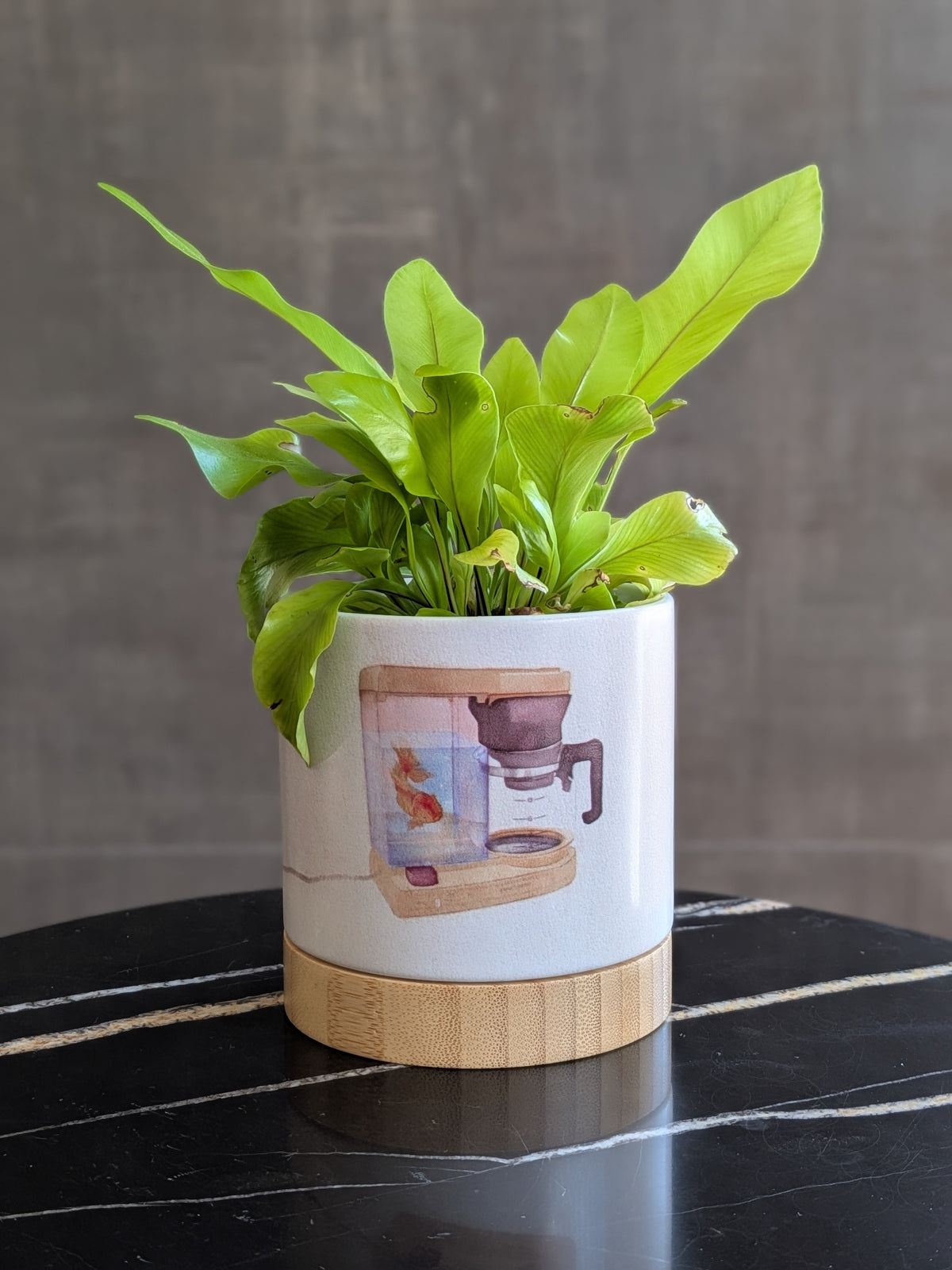 Brew & Gold - ceramic planter pot