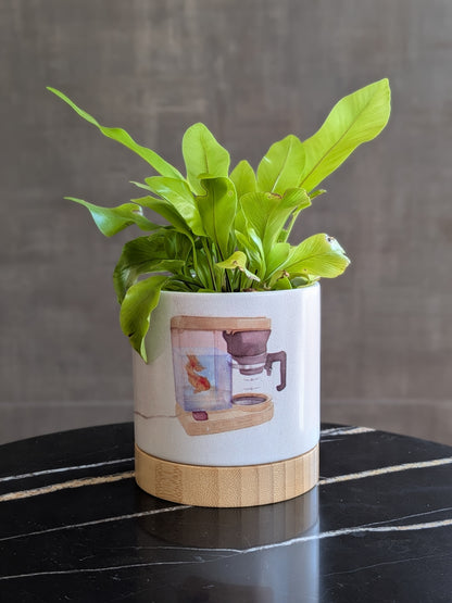 Brew & Gold - ceramic planter pot