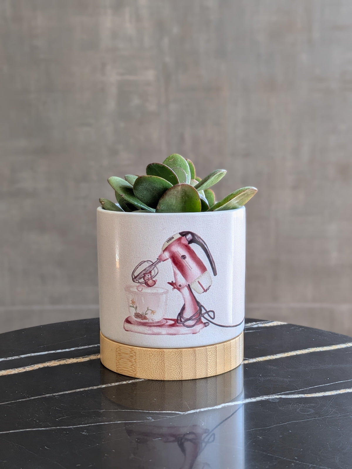 Whisk Taker - ceramic planter pot
