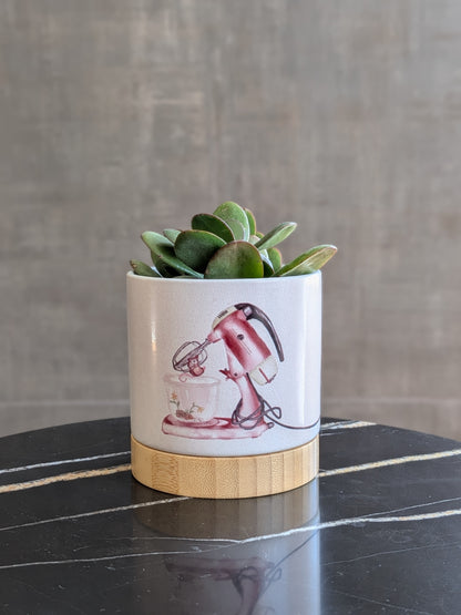 Whisk Taker - ceramic planter pot