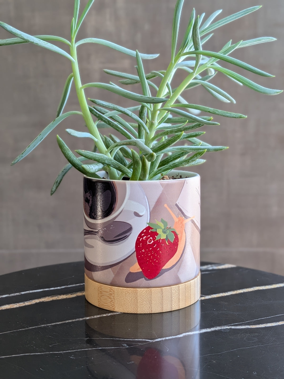 Snailberry Cafe - ceramic planter pot